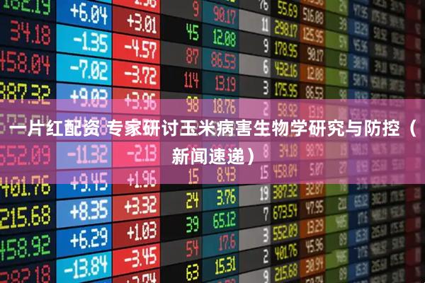 一片红配资 专家研讨玉米病害生物学研究与防控（新闻速递）