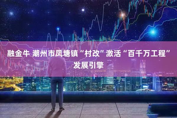 融金牛 潮州市凤塘镇“村改”激活“百千万工程”发展引擎