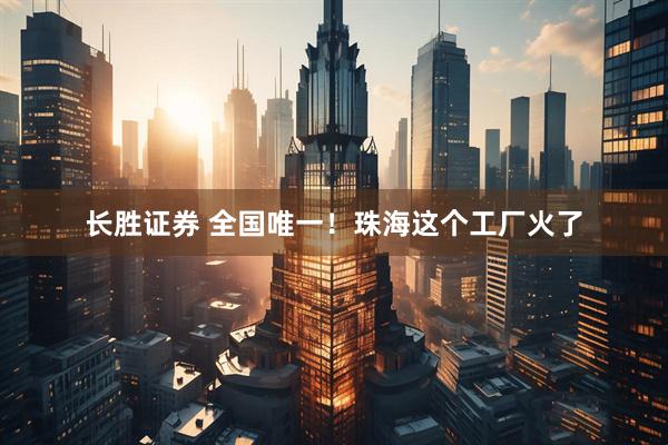长胜证券 全国唯一！珠海这个工厂火了