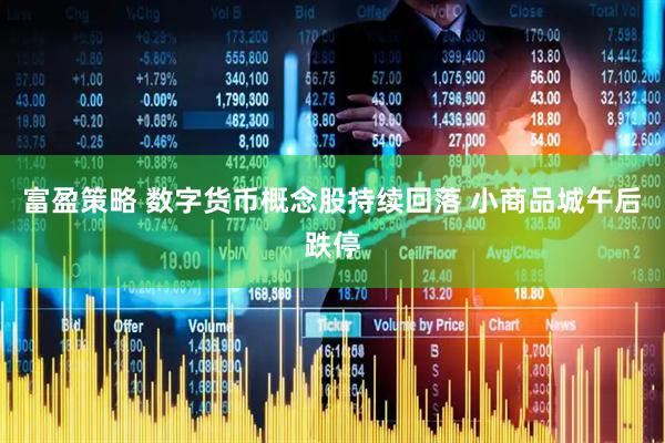 富盈策略 数字货币概念股持续回落 小商品城午后跌停