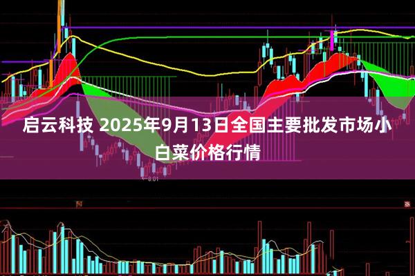 启云科技 2025年9月13日全国主要批发市场小白菜价格行情